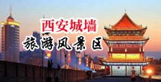 骚浪婊子性交xxxx中国陕西-西安城墙旅游风景区