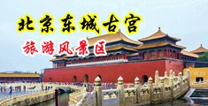 美女抠逼被操中国北京-东城古宫旅游风景区